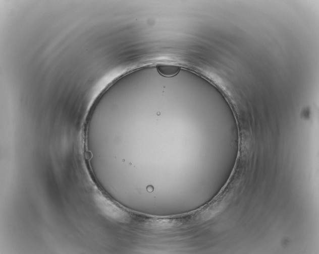 X0000094221474200711021128