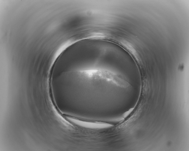 X0000094221475200711021128