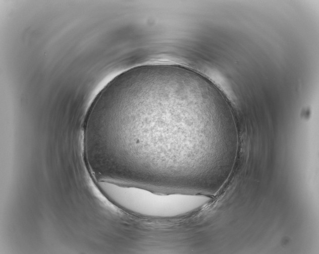 X0000094221476200711021128