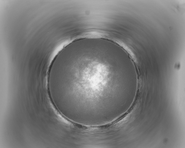 X0000094221477200711021128