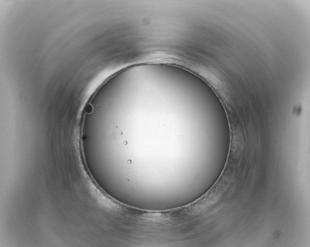 X0000094221478200711021128