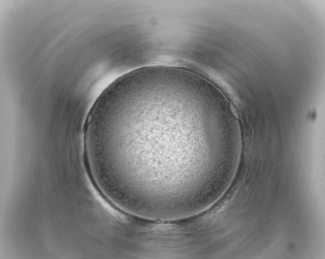 X0000094221479200711021128