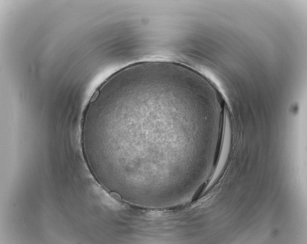 X0000094221480200711021128