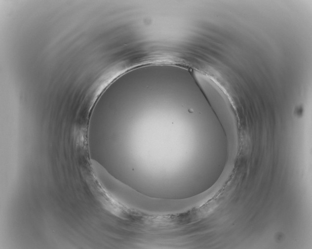 X0000094221481200711021128