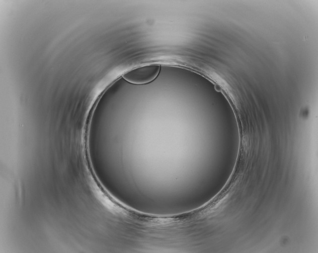 X0000094221482200711021128