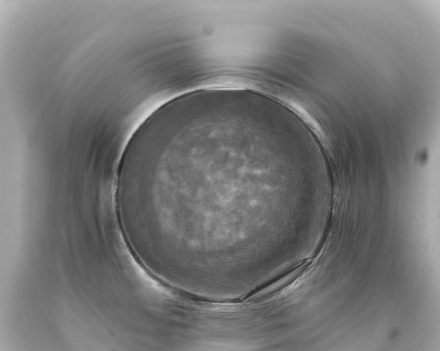 X0000094221484200711021128