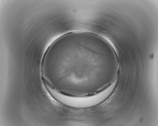 X0000094221485200711021127