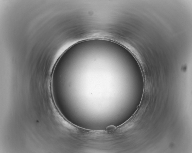 X0000094221486200711021127