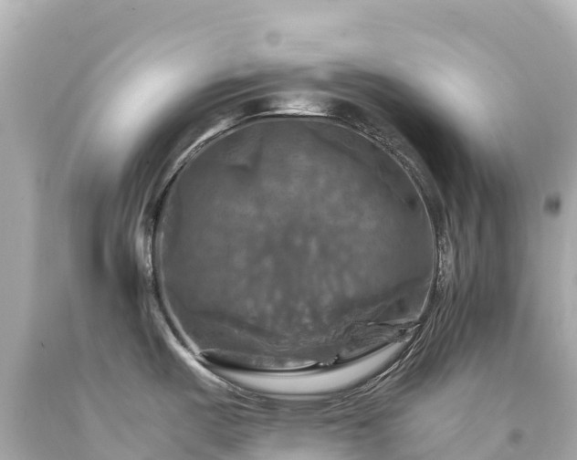 X0000094221487200711021127