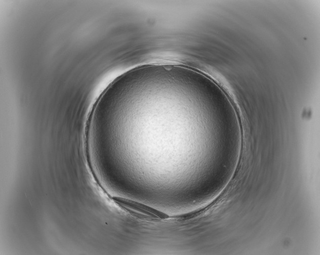 X0000094221488200711021127