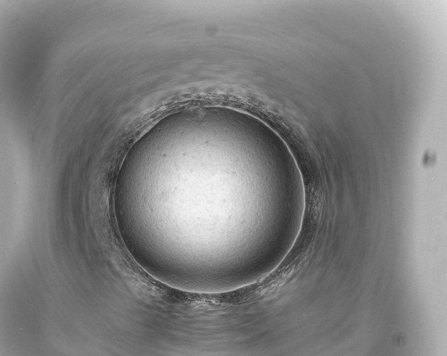 X0000094221489200711021127