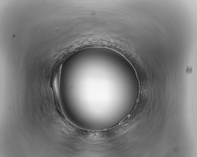 X0000094221490200711021127