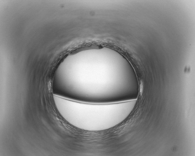 X0000094221492200711021127