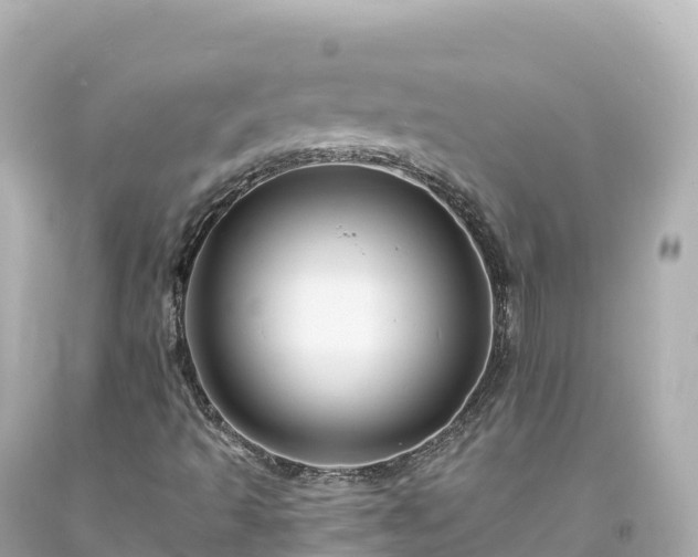 X0000094221493200711021127