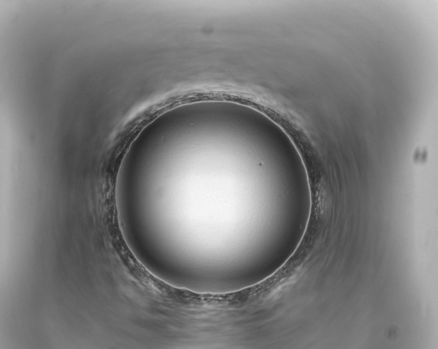 X0000094221494200711021127