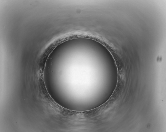 X0000094221495200711021127