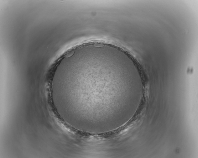 X0000094221496200711021127