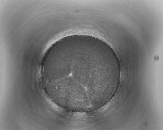 X0000094221498200711021127