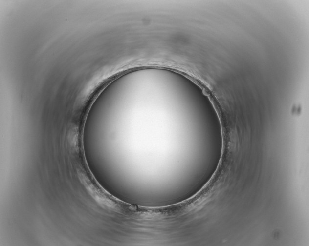 X0000094221499200711021127