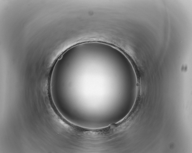 X0000094221500200711021127