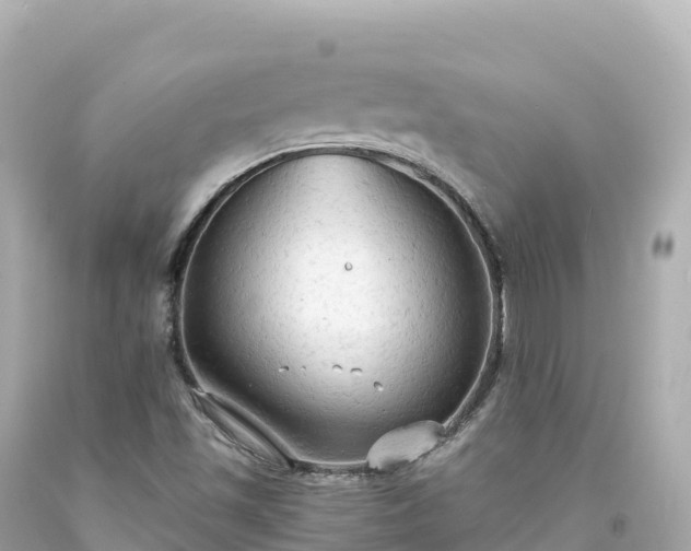 X0000094221501200711021127