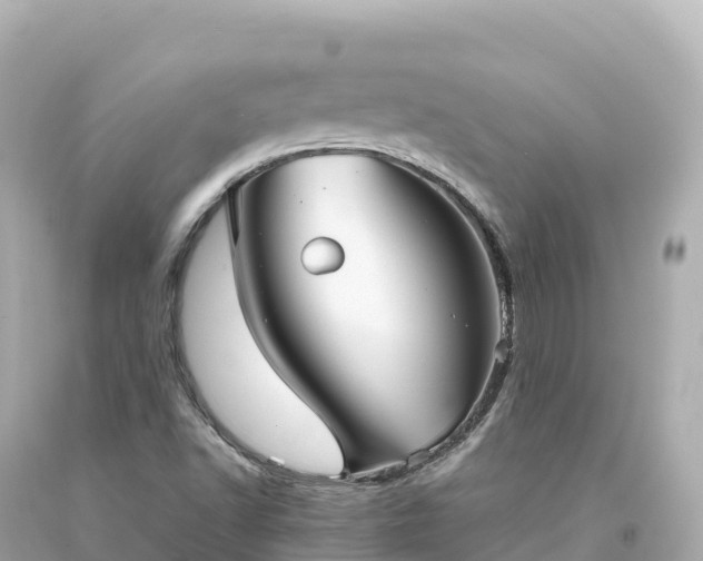 X0000094221502200711021127