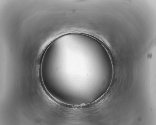 X0000094221504200711021127