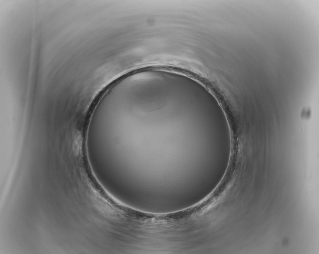 X0000094221505200711021127