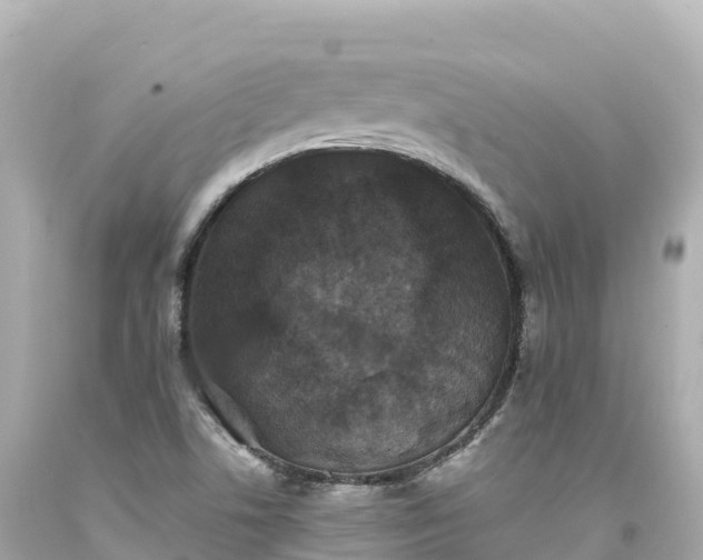 X0000094221506200711021127