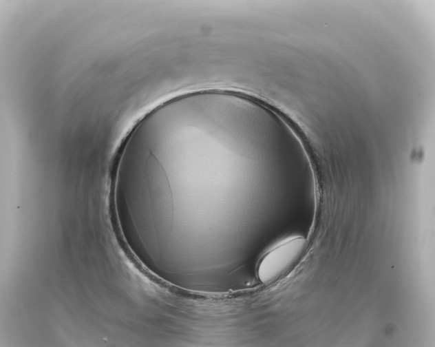 X0000094221508200711021127