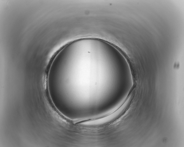 X0000094221510200711021127