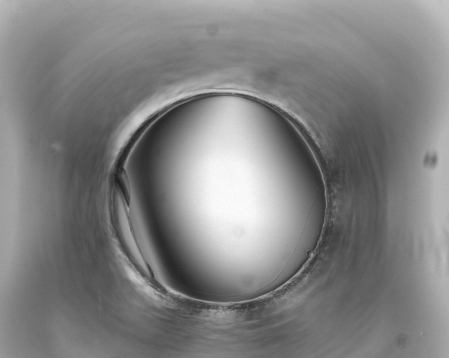 X0000094221511200711021127