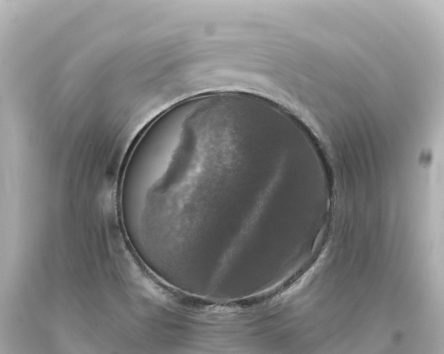 X0000094221513200711021127