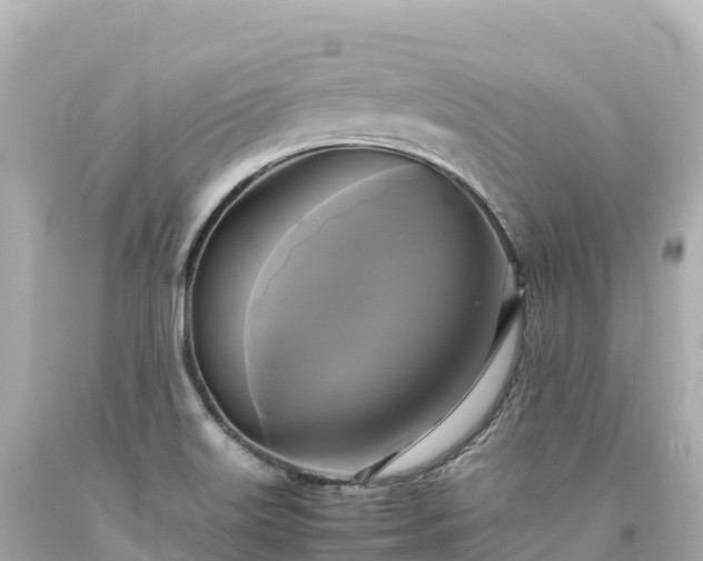 X0000094221515200711021127