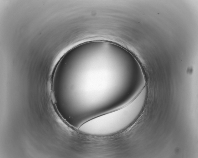 X0000094221516200711021127