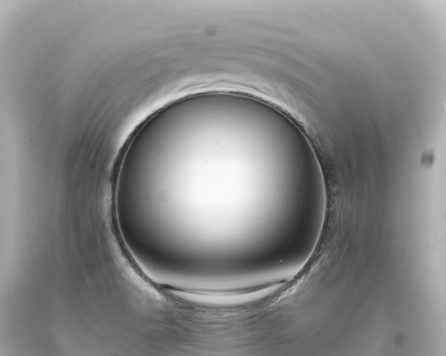 X0000094221518200711021127