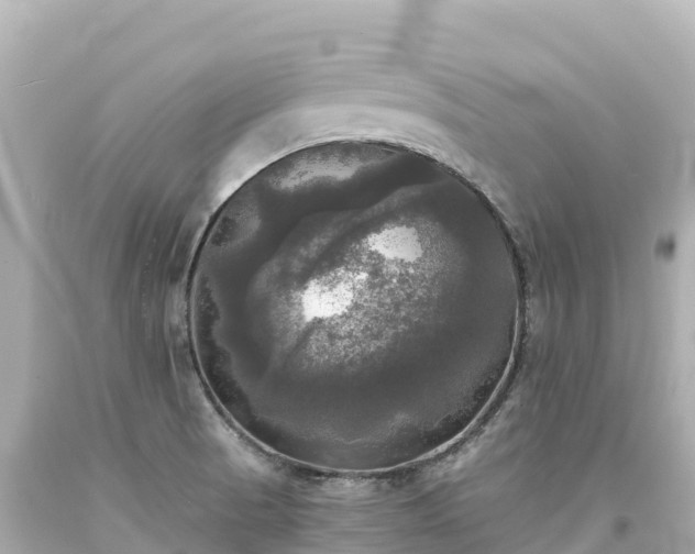 X0000094221521200711021127