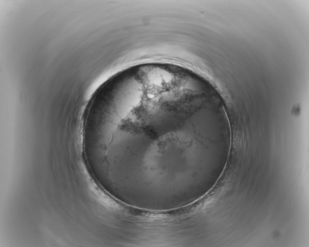 X0000094221522200711021127