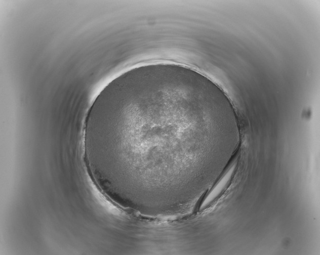 X0000094221524200711021127