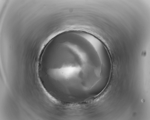 X0000094221525200711021127