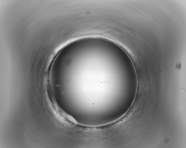 X0000094221526200711021127