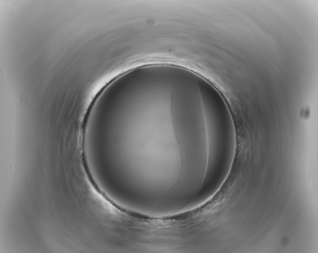 X0000094221527200711021127