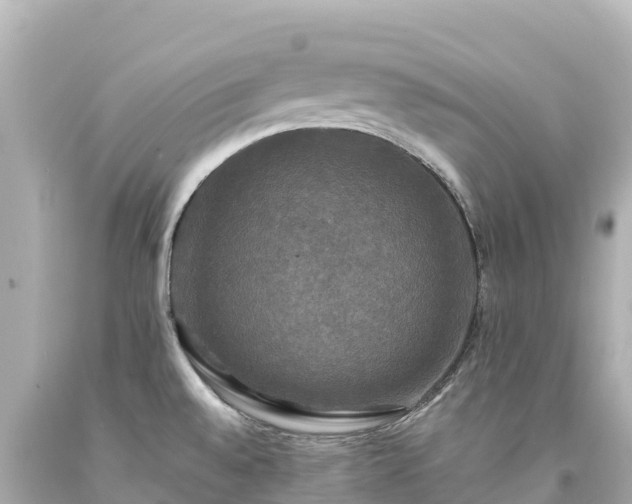 X0000094221528200711021127