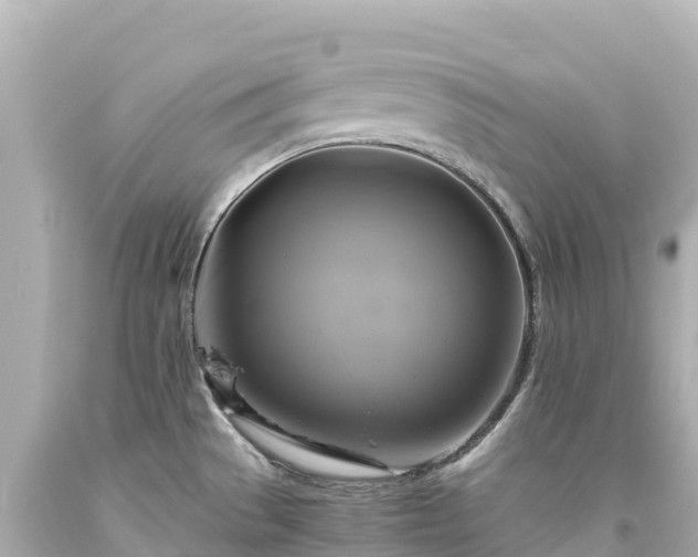 X0000094221529200711021127