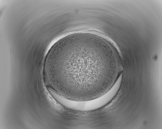 X0000094221530200711021127