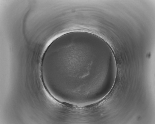 X0000094221531200711021127