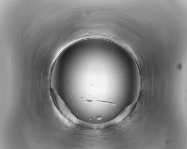 X0000094221532200711021127