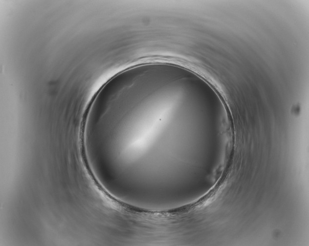 X0000094221533200711021127