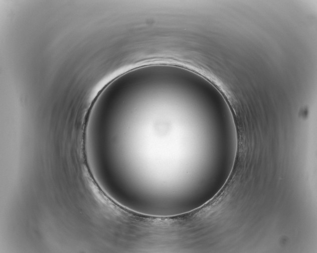 X0000094221534200711021127