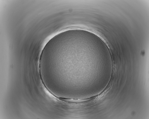 X0000094221535200711021127